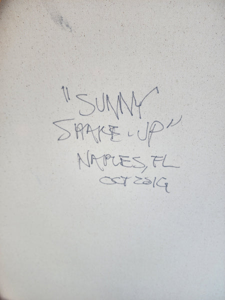 LOCAL NAPLES ARTIST COASTAL ARTWORK ~ "SUNNY SHAKE UP"