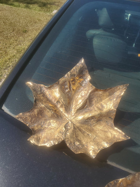 UTTERMOST BRONZE LEAVES 🍂🍁 (5) ~ MISC