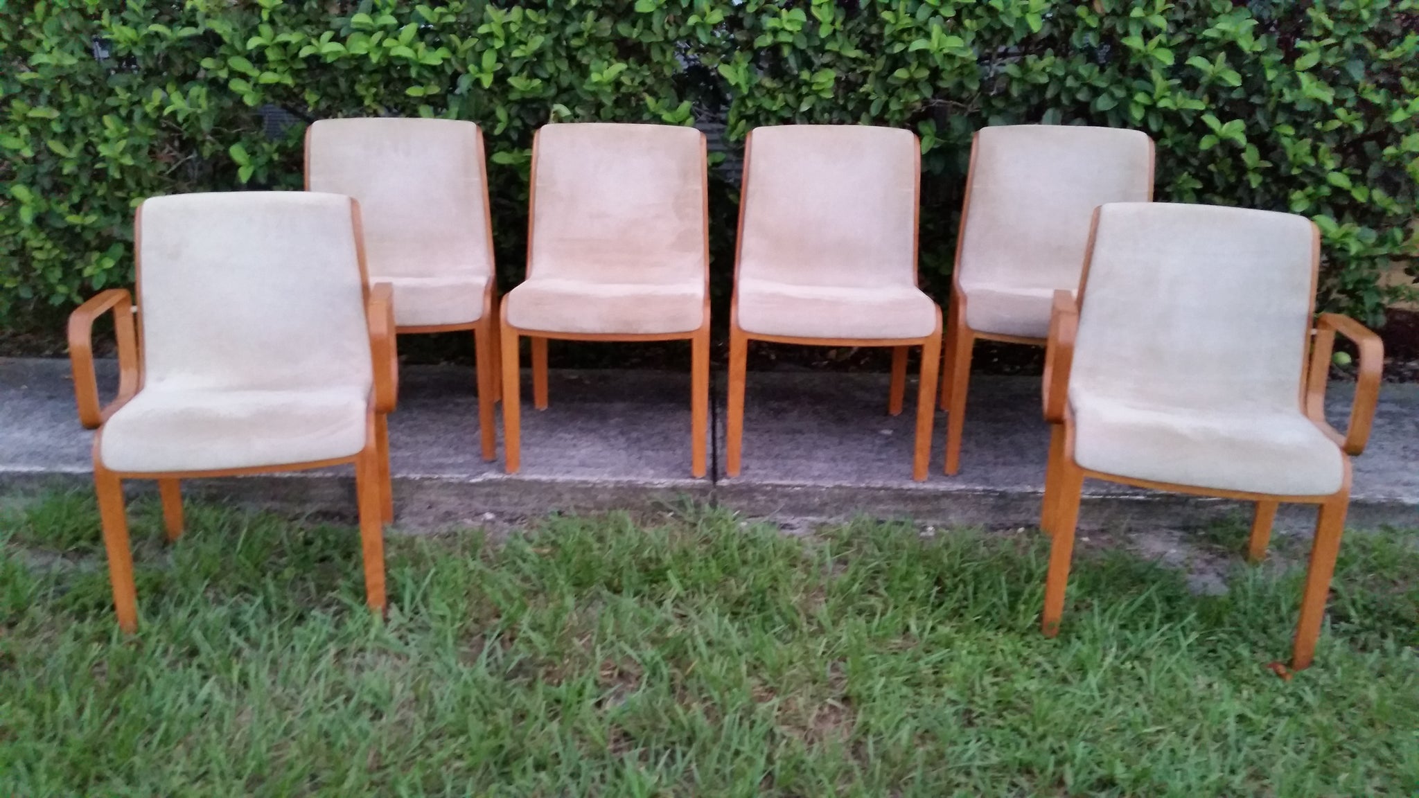 VINTAGE MID CENTURY MODERN KNOLL INTERNATIONAL BILL STEPHENS 1300 SERIES OAK BENTWOOD SUEDE DINING CHAIRS (6 ~ 2 ARM)